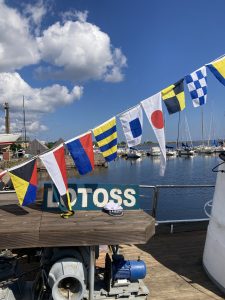IMG_3749